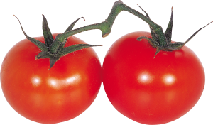 Tomato PNG-12572